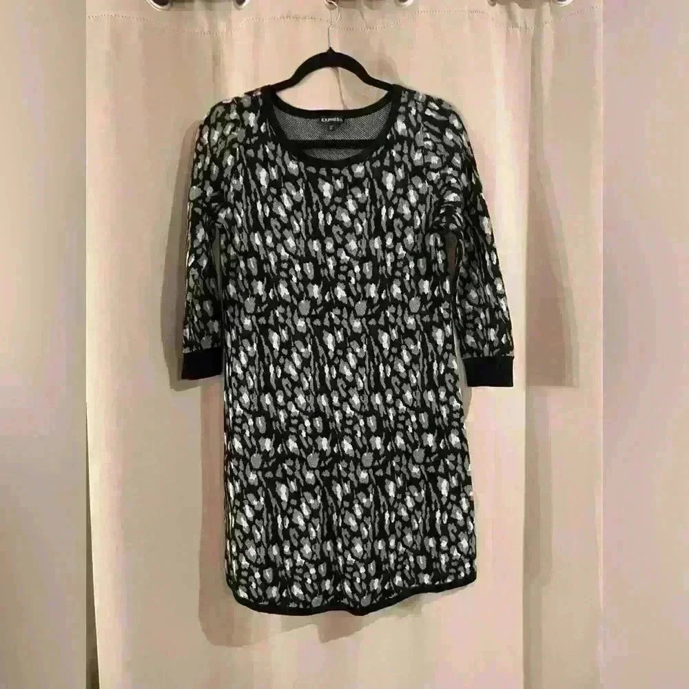 Women’s Express Sweater Dress
